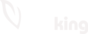 Vitaking Partner